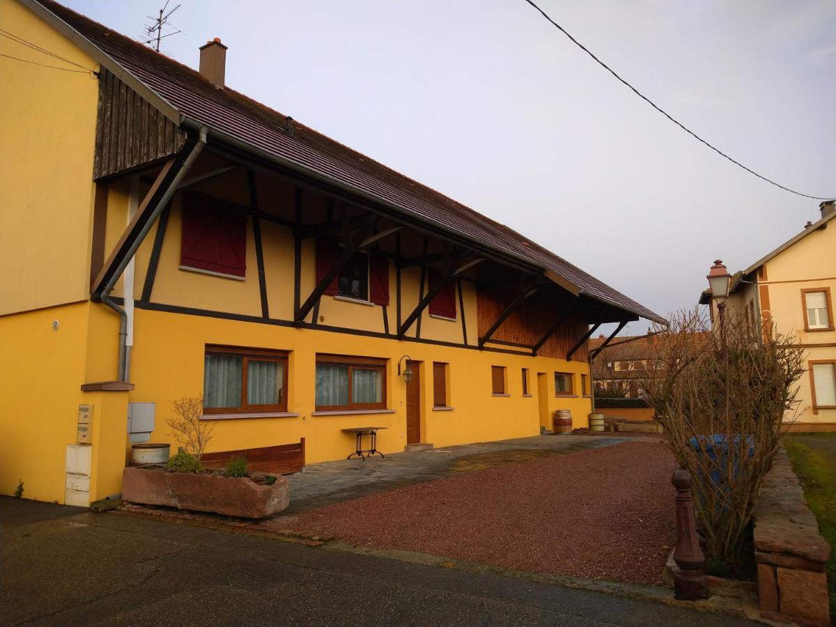 Le Pelican Wittenheim Exterior foto